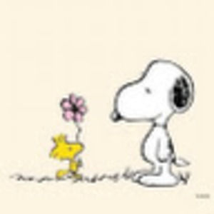 Meet your Posher, Wyatt